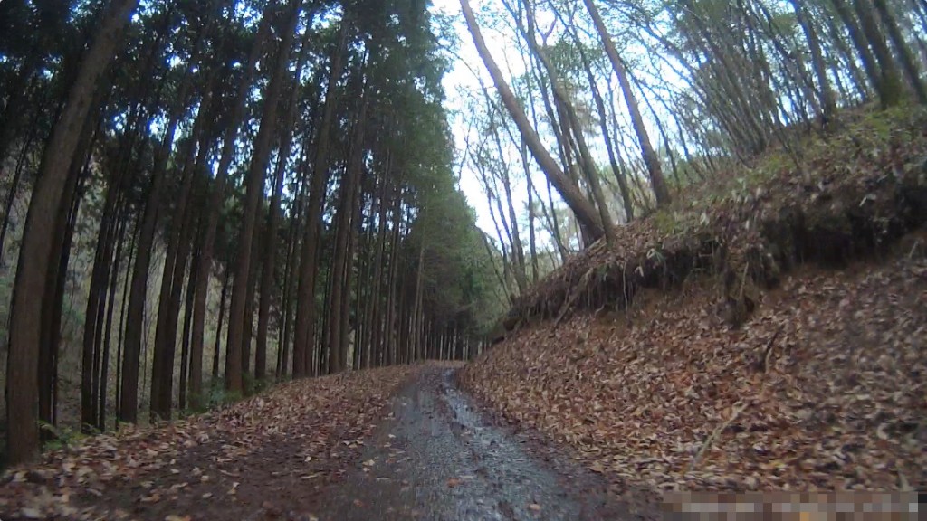 VDO00559.mp4